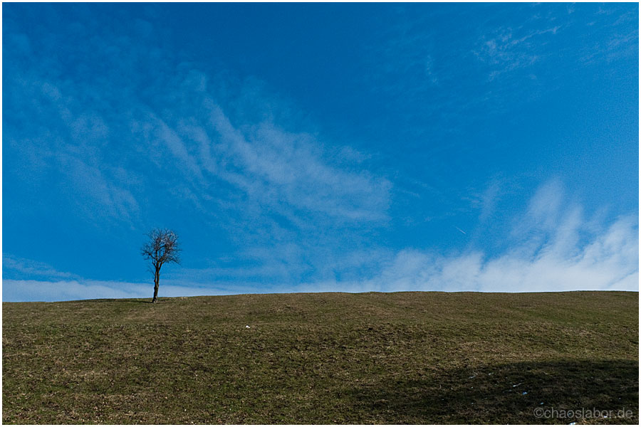 Baum