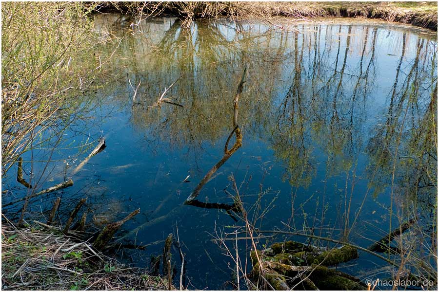 Teich