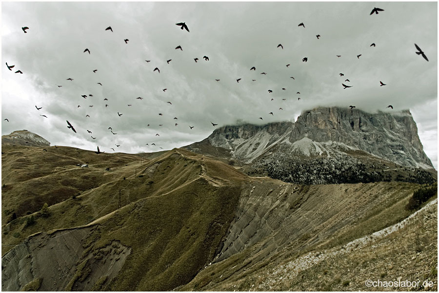 Dolomiti