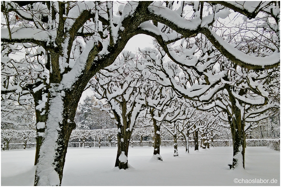 Schnee!