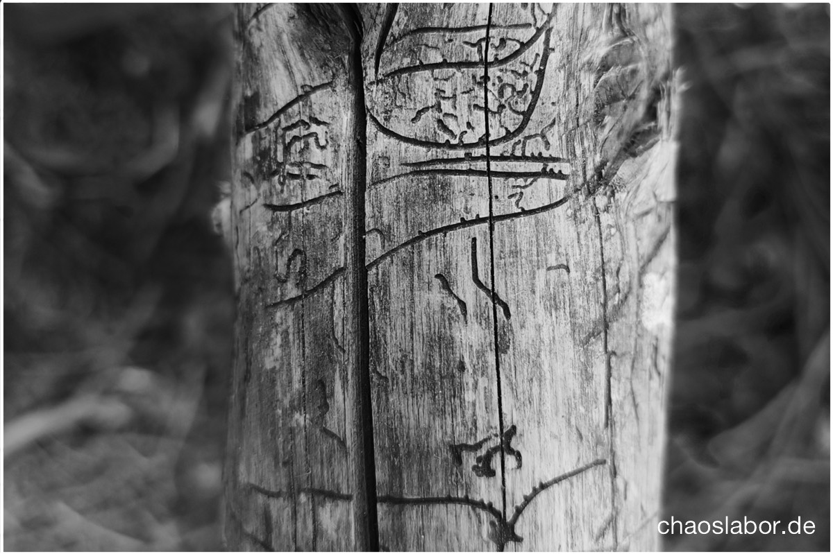 Hieroglyphen