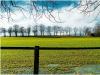 Fruehling