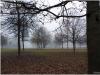 HerbstNebel