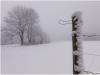 SchneeNebel