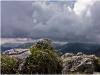Gewitter