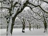 Schnee!