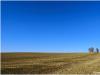 Feld