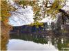 HerbstSee