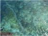 Wasser